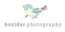 Bozidar Photography Blog logo
